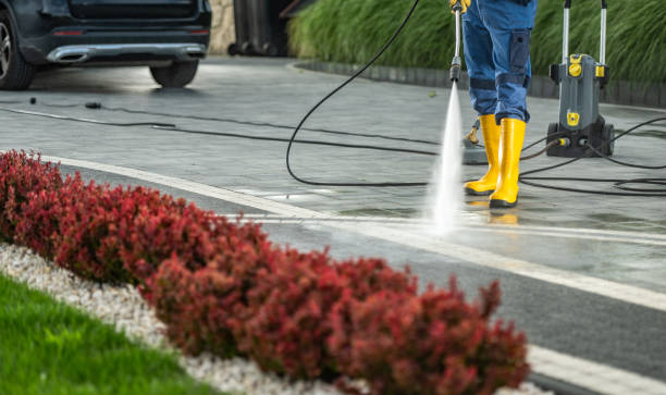 Best Window and Screen Pressure Cleaning in Sewaren, NJ